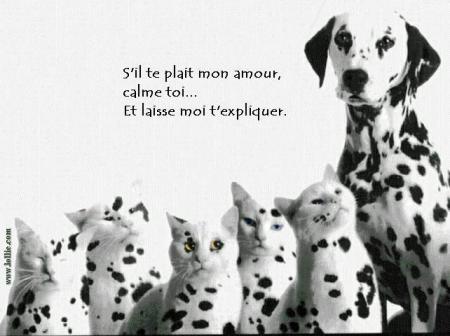   a mes je comprend très b1 moi
